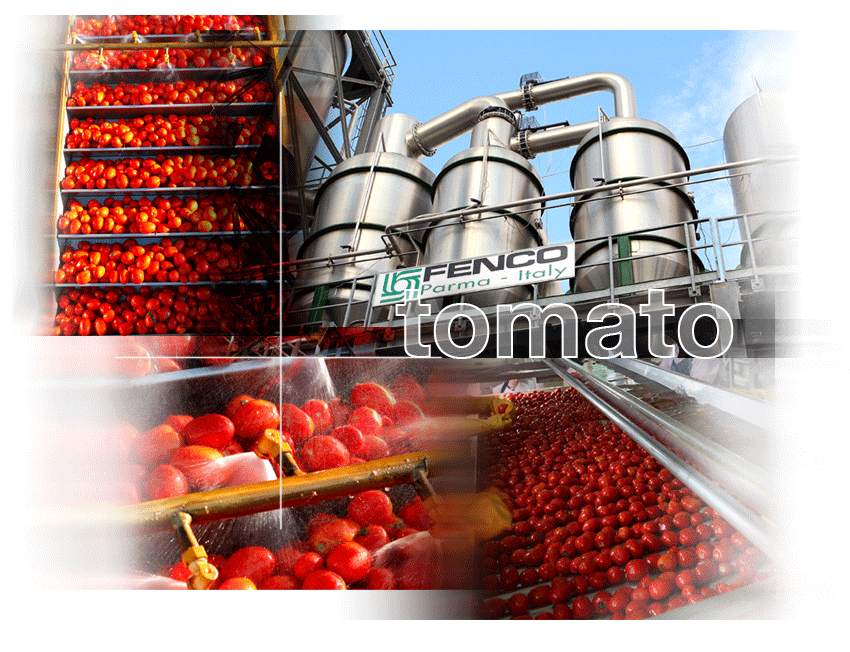 Collage-tomato-sfum